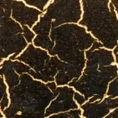 CREQUELE NERO ORO ZECCHINO